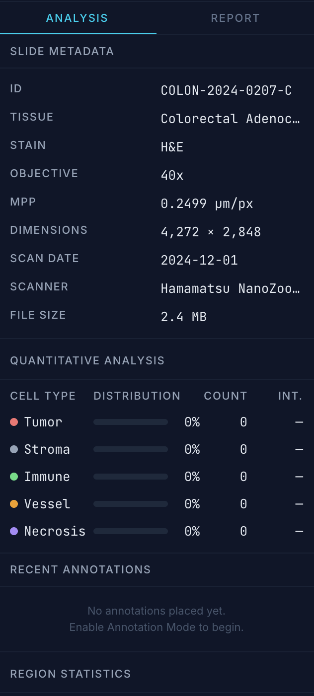 Analysis tab showing slide metadata